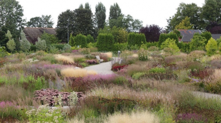Piet Oudolf Landscape The Gardens Of Piet Oudolf: The New Wave Of Landscape Photo 899