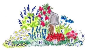 Pike Nursery Landscape Design Patriotic Mailbox Garden Plan / Pike Nurseries | Mailbox Photo 595