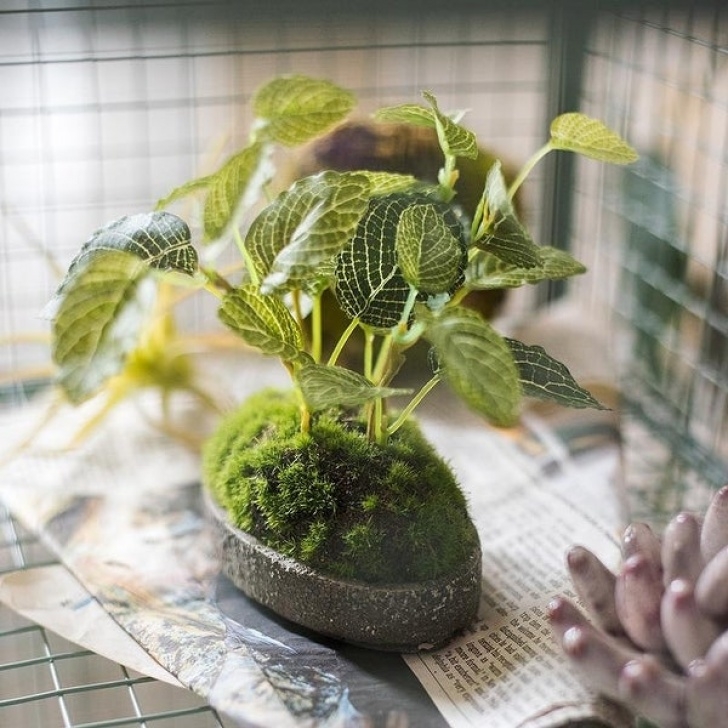 Planting A Garden Over Grass Shop Rusticreach Artificial Mini Bonsai Reticulate Leaf Picture 212