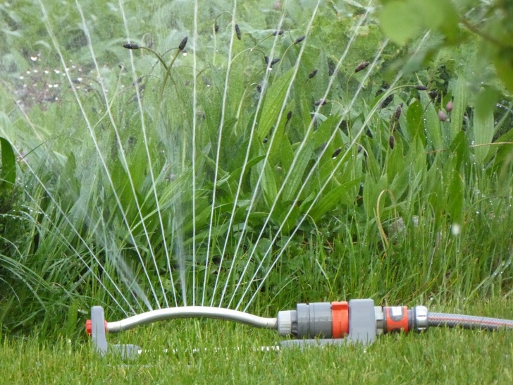 Planting A Garden Over Grass Tips For Watering Your Lawn In Cleveland, Oh - Lawnstarter Picture 728