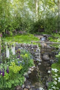 Planting A Small Woodland The Secret Behind Chelsea'S Winning Welcome To Yorkshire Image 953 Planting A Small Woodland The Secret Behind Chelsea'S Winning Welcome To Yorkshire Image 953