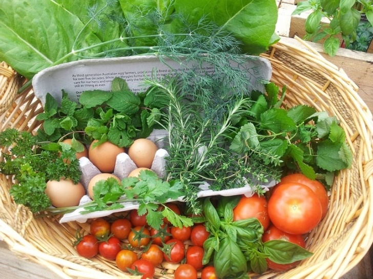 Planting In July Gardening Tips For July Photo 700