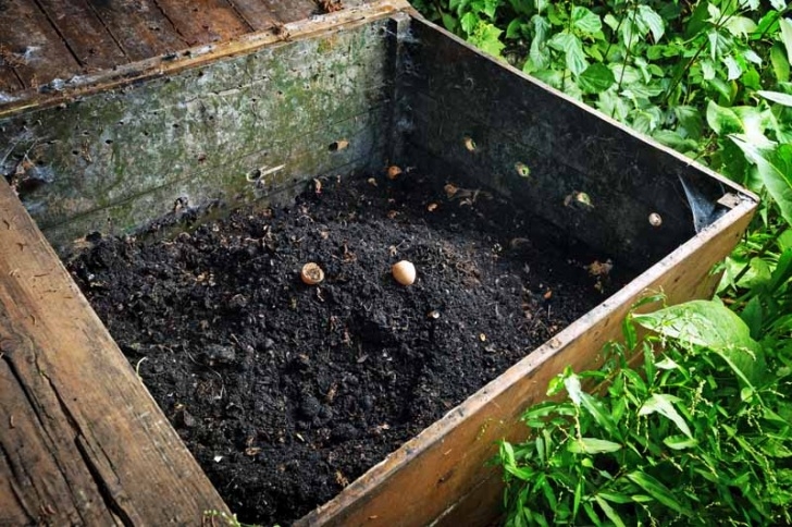 Planting In Mushroom Compost The Benefits Of Applying Soil Inoculants And Microbes In Image 367