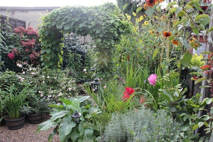 Planting In September Graphicality-Uk: September Beauties From London Picture 667