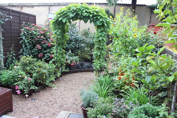 Planting In September Graphicality-Uk: September Beauties In My Garden Photo 039