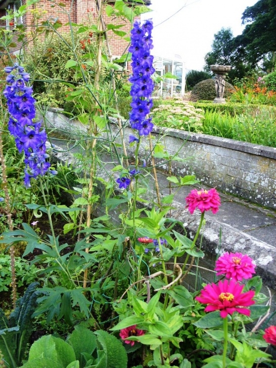 Planting In September Kelli'S Northern Ireland Garden: September Flowers Image 369