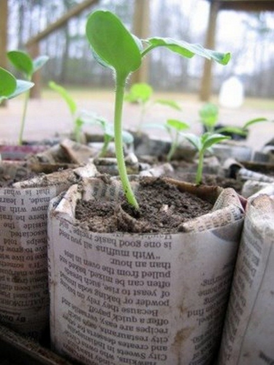 Planting Seeds In Pots How To Make Biodegradable Newspaper Seedling Pots | Craft Picture 168