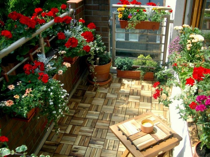 Plants For Apartment Balcony 18 Balcony Gardening Tips To Follow Before Setting Up A Picture 028