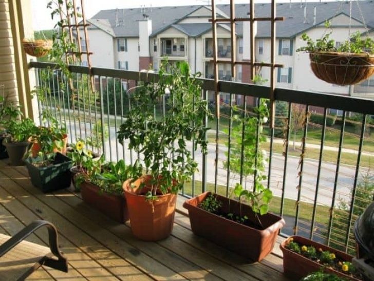 Plants For Apartment Balcony 33 Apartment Balcony Garden Ideas That You Will Love Image 149