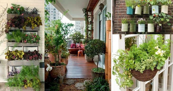Plants For Apartment Balcony Creative Ideas For Balcony Garden Containers | Balcony Photo 029