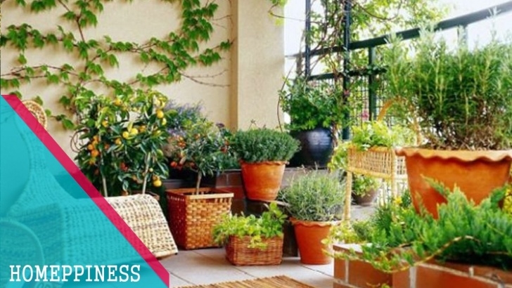 Plants For Apartment Balcony Must Watch !!! 30+ Cheap Small Balcony Garden Ideas With Picture 491