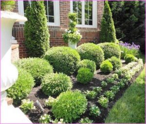 Plants For Landscaping Front Of House Dwarf Flowering Shrubs | Home Design Ideas | Landscaping Photo 105 Plants For Landscaping Front Of House Dwarf Flowering Shrubs | Home Design Ideas | Landscaping Photo 105