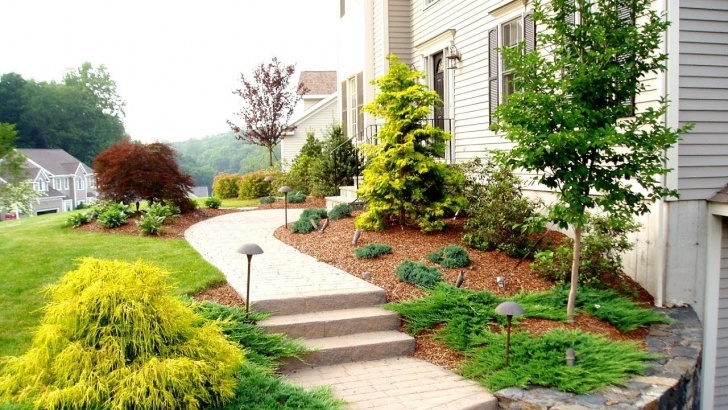 Plants For Landscaping Front Of House Front Yard Landscaping Ideas By A Trumbull Ct Landscaper Photo 733