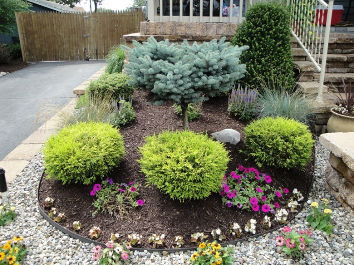 Plants For Landscaping Front Of House Types Of Landscaping Plants And Shrubs | Shrubs For Image 036