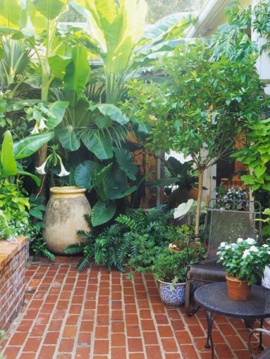 Plants For Small Gardens 8 Ways To Make A Small Garden Look Big | Small Courtyard Picture 577