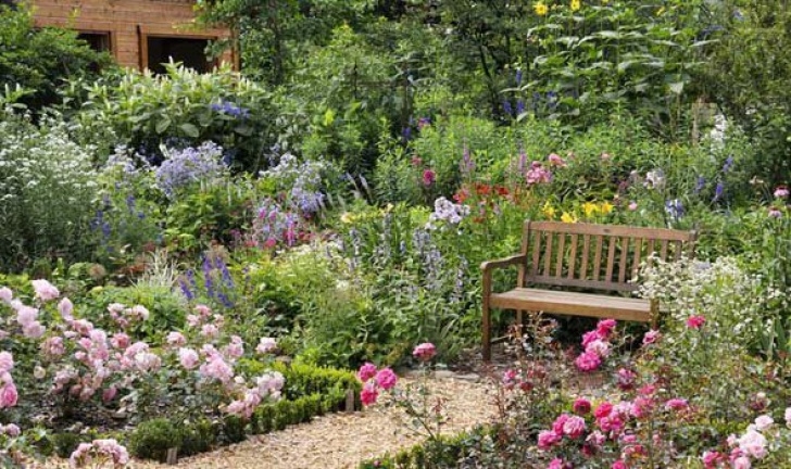 Plants For Small Gardens Alan Titchmarsh On Growing Rose Shrubs In Your Garden Image 885