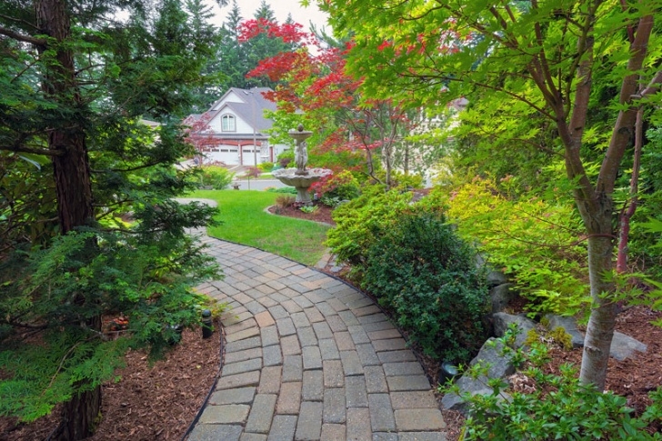 Plants For Small Gardens Hardy Evergreen Shrubs: What Are The Best Ones For Small Image 017