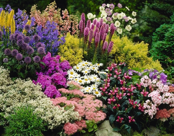 Plants For Small Gardens Inexpensive Landscaping Ideas To Beautify Your Yard Photo 575