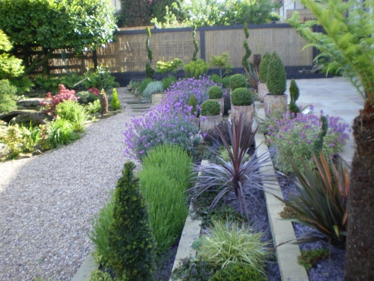 Plants For Small Gardens Small Garden Design: Small Garden Design - How To Get Started Photo 633