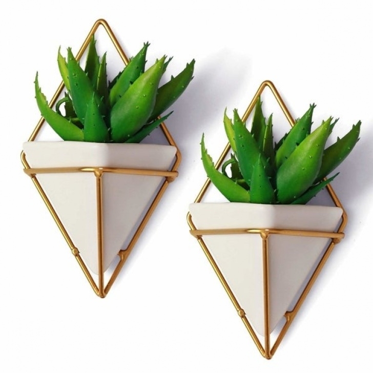 Plants For Small Pots Shop California Home Goods 2 Small Decorative Geometric Image 563