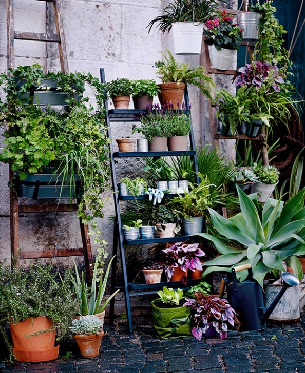 Plants For Small Spaces House &amp; Home Picture 012
