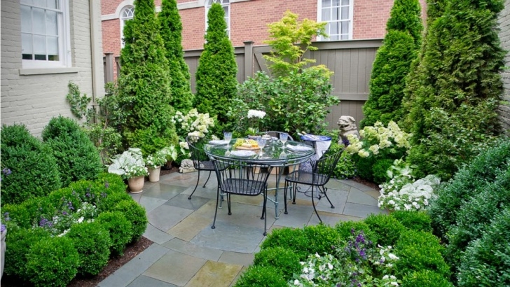 Plants For Small Spaces Small Space, Big Solutions: Planting For Privacy | Grow Image 468
