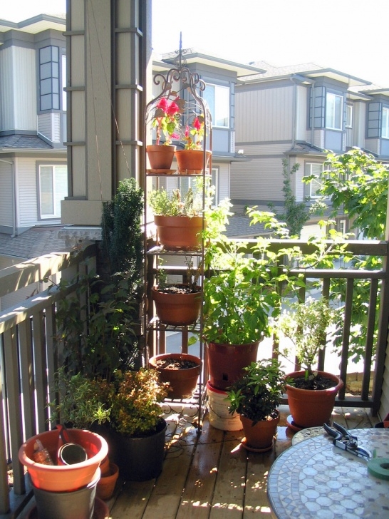 Plants For Small Spaces Small Space Gardening Image 580