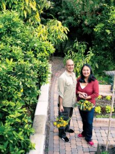 Plants For Small Spaces Top 10 Trees For Small Spaces - Sunset Magazine Picture 541