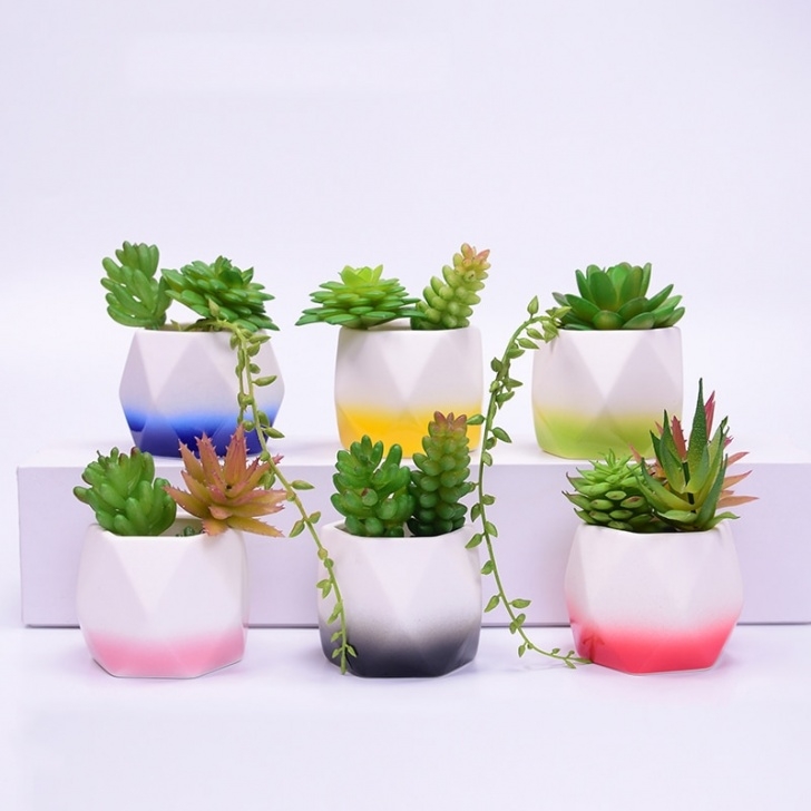 Plants For Tiny Pots 6Pcs/Set Colorful Decorative Small Geometry Ceramic Image 337