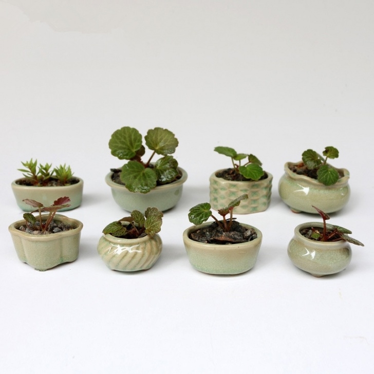 Plants For Tiny Pots 8Pcs/Set Zakka Home Ceramic Micro Garden Mini Flowerpots Image 094