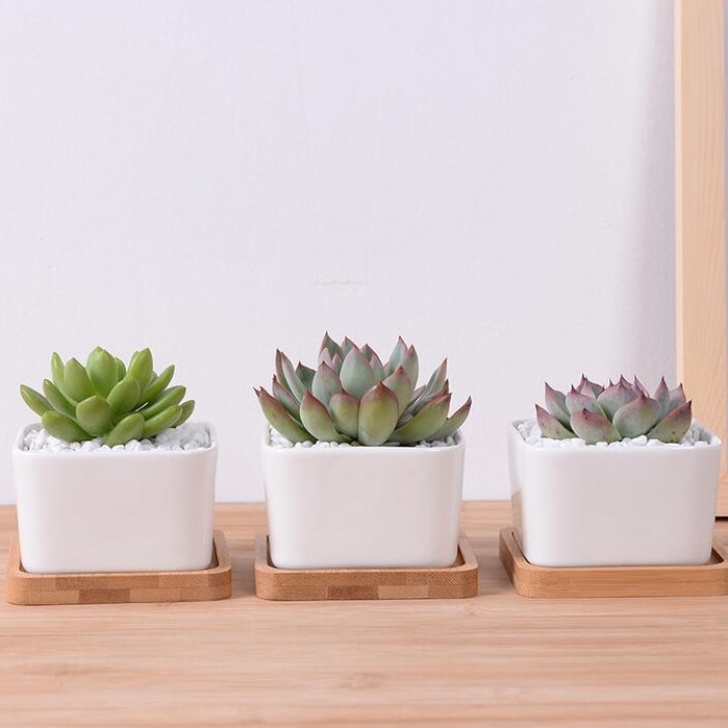 Plants For Tiny Pots Aliexpress : Buy Garden Supplies White Ceramic Plant Photo 276