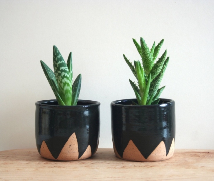 Plants For Tiny Pots Black Mountain Planters – Set Of Two Small Speckled Picture 260