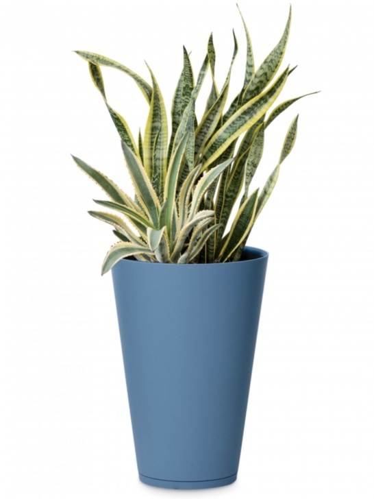 Plants For Tiny Pots Pots, Planters And Boxes For Container Gardening Photo 164