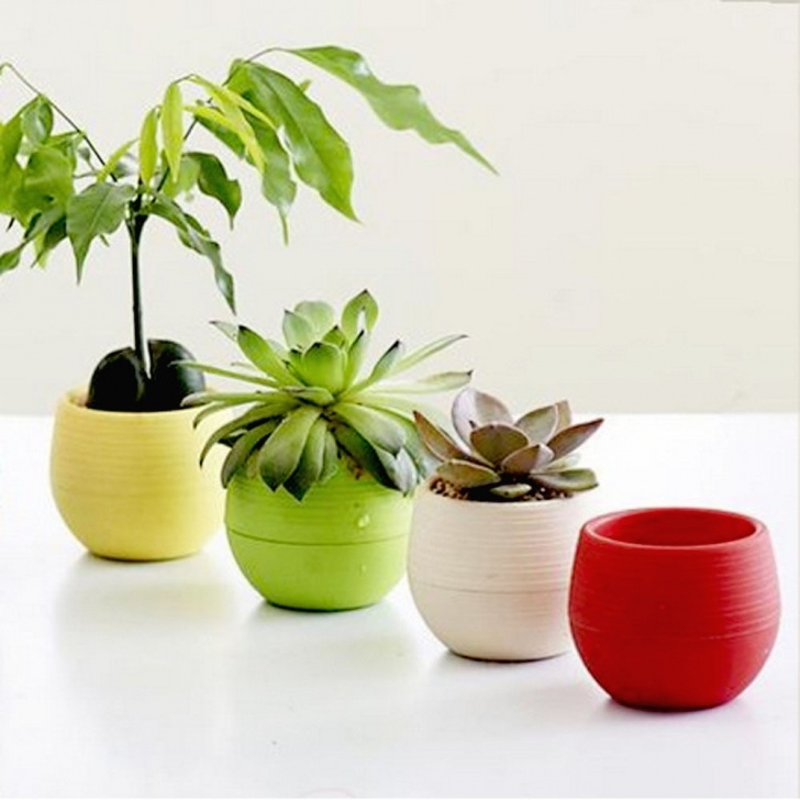 Plants For Tiny Pots Small Plastic Flower Pot Stand Balcony Garden Plant Photo 438