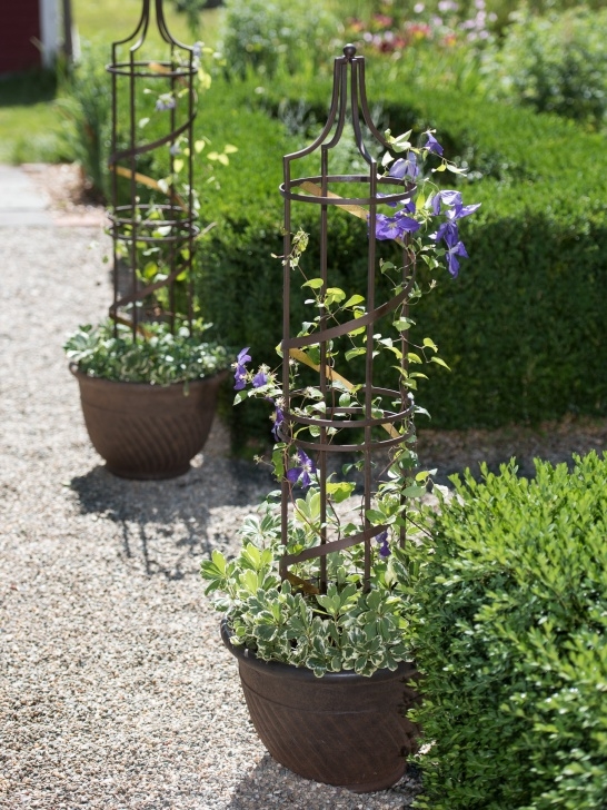 Plants To Grow In Pots Nocturne Plant Pot Obelisk Trellis | Gardeners Picture 552