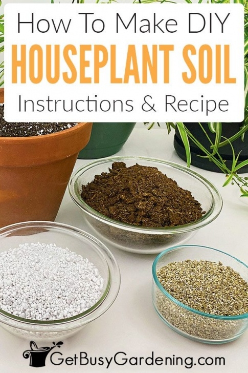 Potting Soil For Indoor Plants How To Make Potting Soil For Indoor Plants | Plant Food Image 018