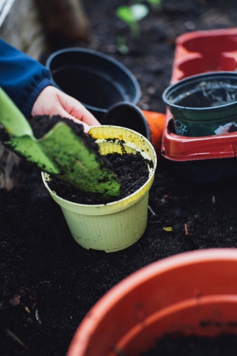 Potting Soil For Indoor Plants How To Make Potting Soil For Indoor Plants - Try To Garden Photo 447
