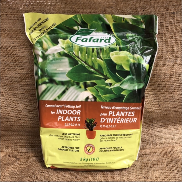 Potting Soil For Indoor Plants Soil – Indoor Plant Potting Soil – Eising Garden Centre Image 210