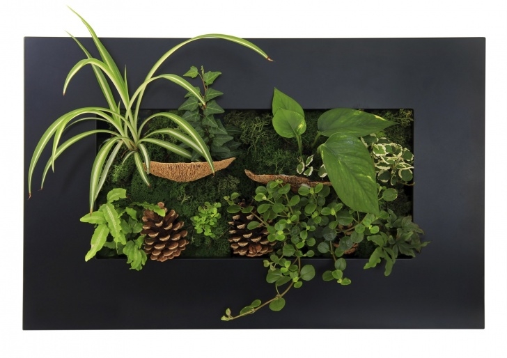 Potting Soil For Indoor Plants The Best Potting Soil For Spider Plants | Ehow Picture 814