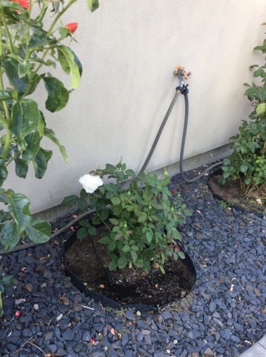 Pound In Landscaping Edging Pound-In Plastic Landscape Edging - Lawn Edging | Plastic Image 906