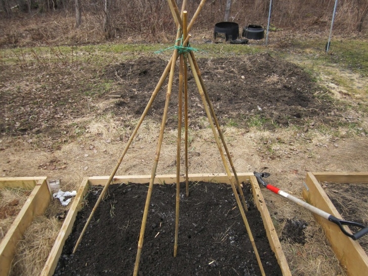 Preparing A Garden Bed Cold Hands Warm Earth: Preparing Garden Bed For Peas Photo 418