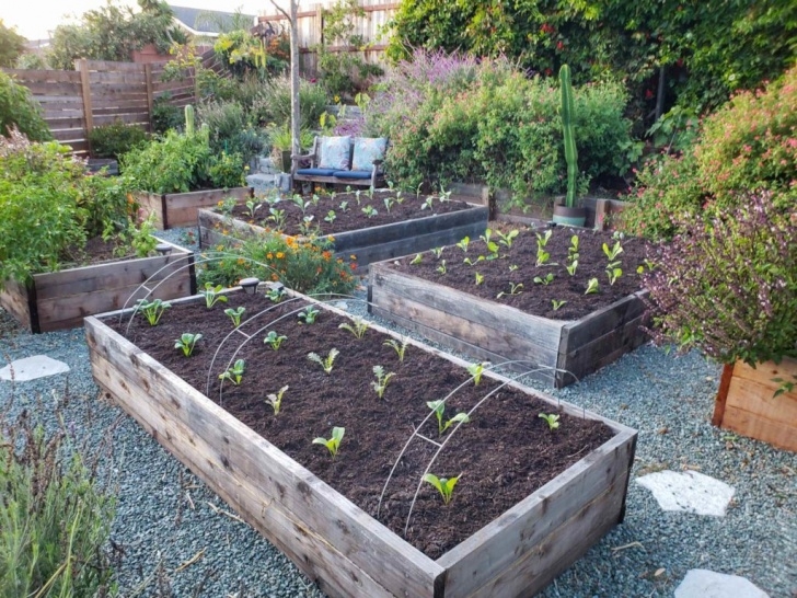 Preparing A Garden Bed How To Prepare &amp; Amend Garden Bed Soil: Before Planting Or Image 944