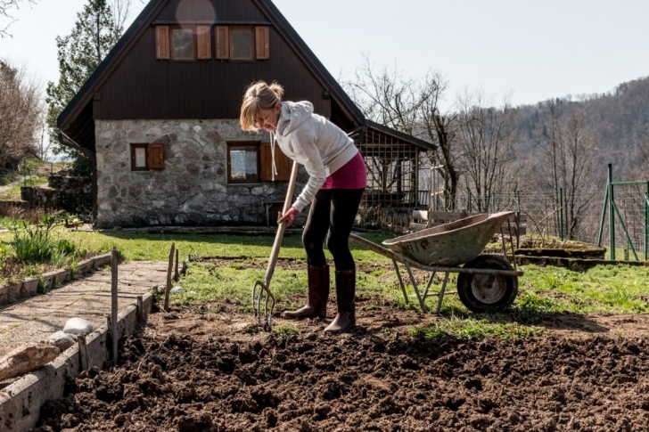 Preparing A Garden Bed How To Prepare Your Garden Beds For Spring - Better Lawns Image 107