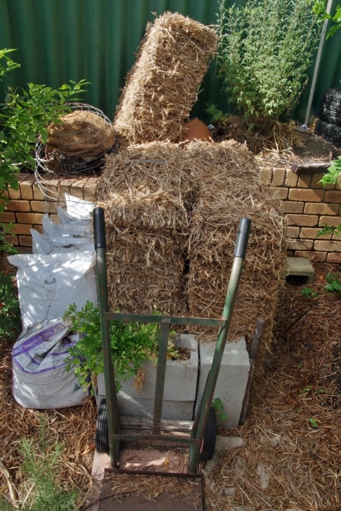 Preparing A Garden Bed Potatoes – Jan'S Garden Image 565