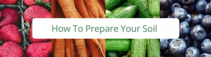 Preparing A Vegetable Garden How To Prepare Soil For Vegetable Gardens – The Tiny Life Picture 559