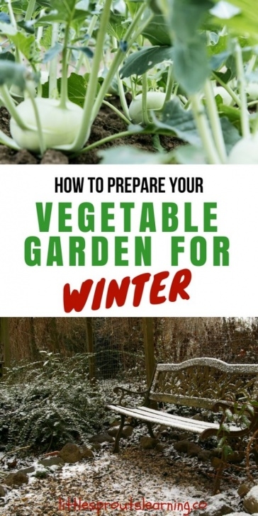 Preparing A Vegetable Garden How To Prepare Your Vegetable Garden For Winter Image 042