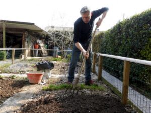Preparing A Vegetable Garden Into The Vegetable Garden: Preparing The Soil For Spring Photo 790