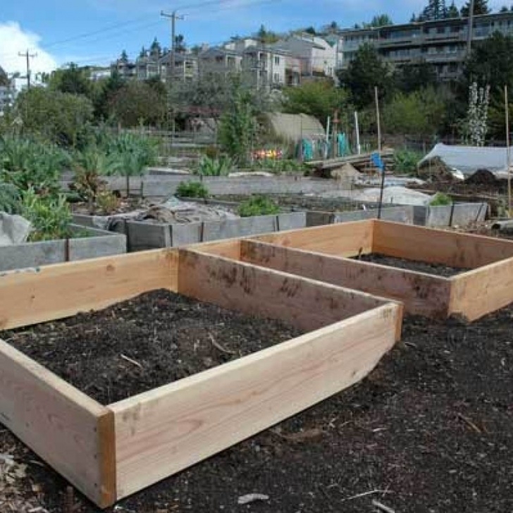 Preparing A Vegetable Garden Preparing A Vegetable Garden For Spring: 5 Tips To Follow Image 695