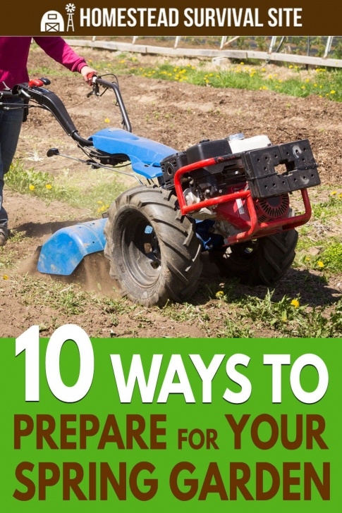 Preparing Raised Beds For Winter 10 Ways To Prepare For Your Spring Garden In 2020 | Garden Image 181