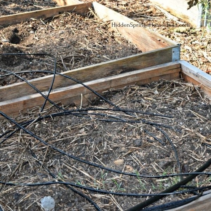 Preparing Raised Beds For Winter 6 Simple Tips To Get Your Garden Ready For Winter | Garden Picture 430